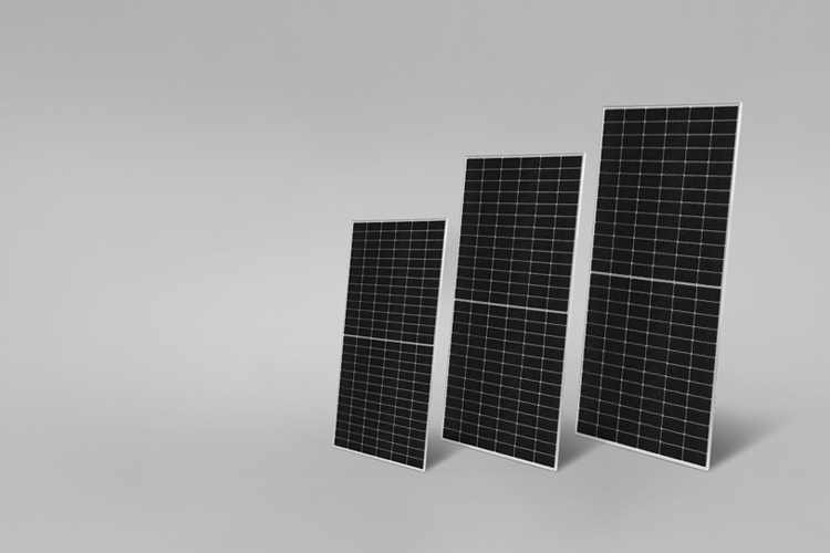 �������ǲ���(�й���)���Ź���