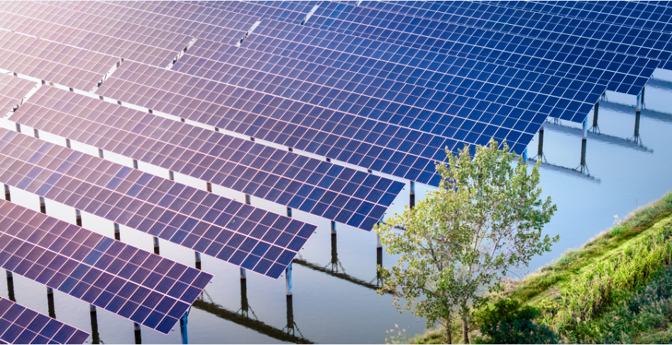 �������ǲ���(�й���)���Ź���