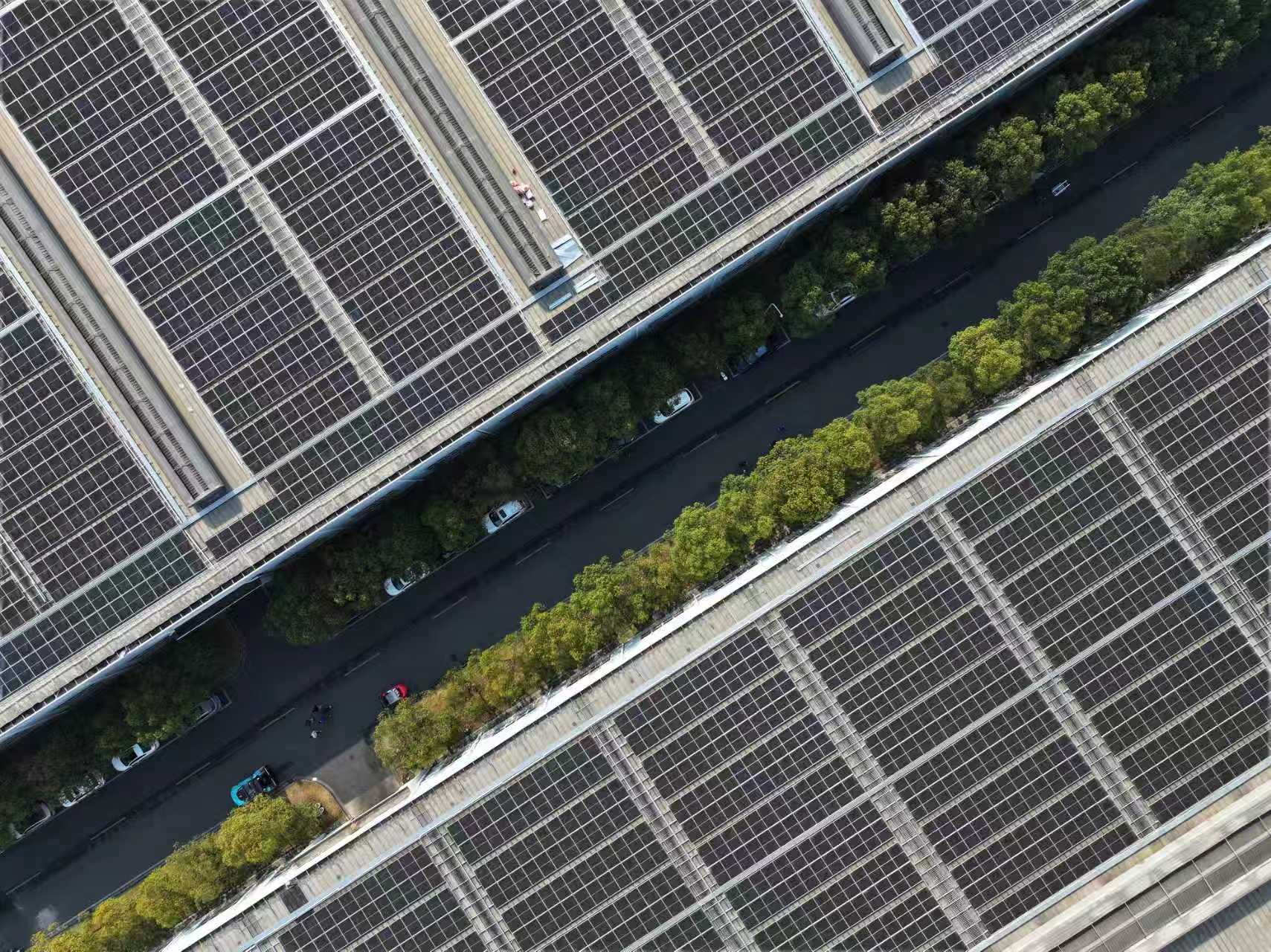 �������ǲ���(�й���)���Ź���